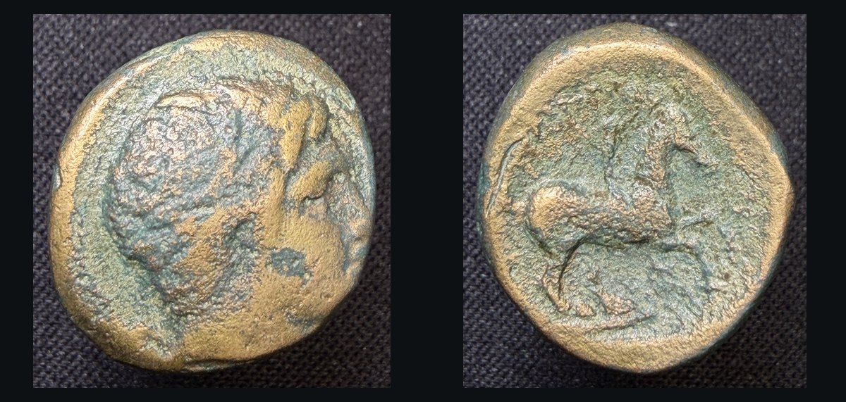 Bronze coin of Philip II: head of Apollo / youth on horseback