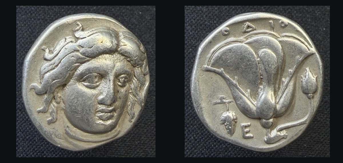 Silver didrachm of Rhodes: radiate head of Helios facing / rose