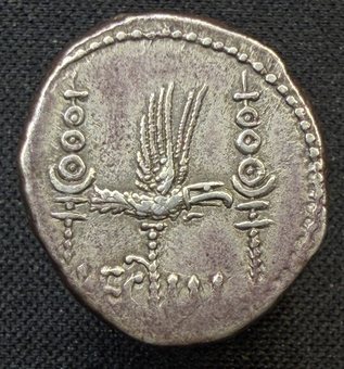 Reverse of the collection's LEG III denarius: aquila between two signa.