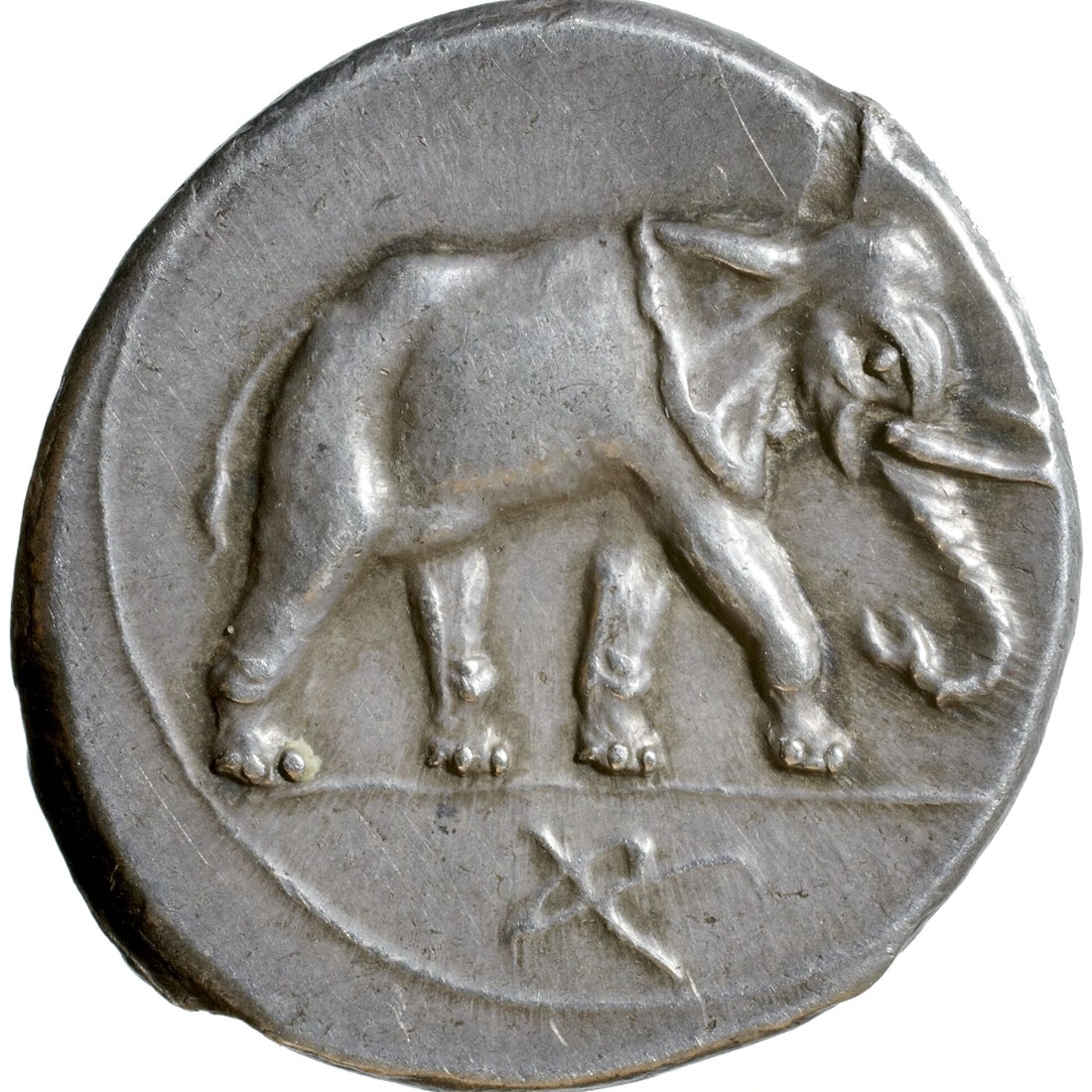 Punic Sicily silver shekel, reverse: African war elephant walking right
