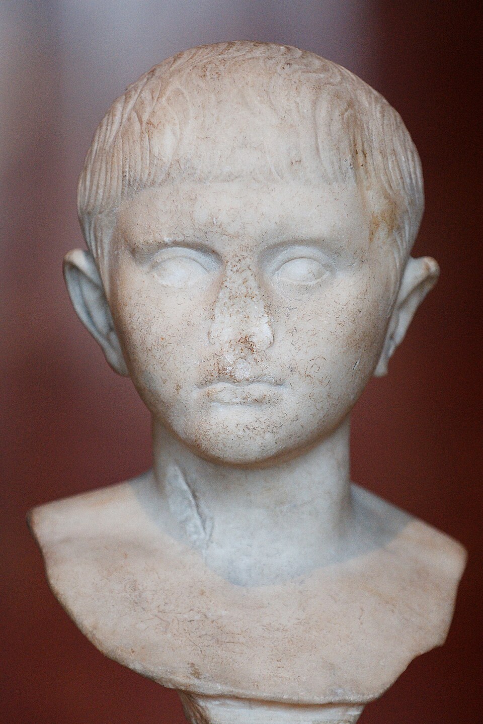 Portrait of Gaius Caesar