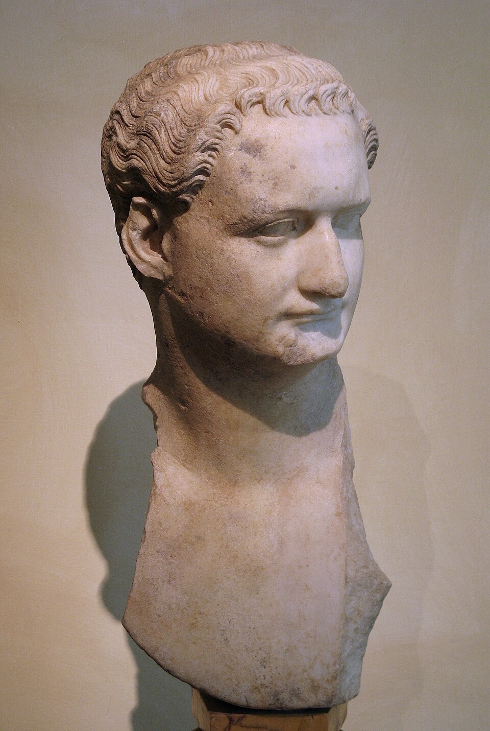 Bust of Domitian