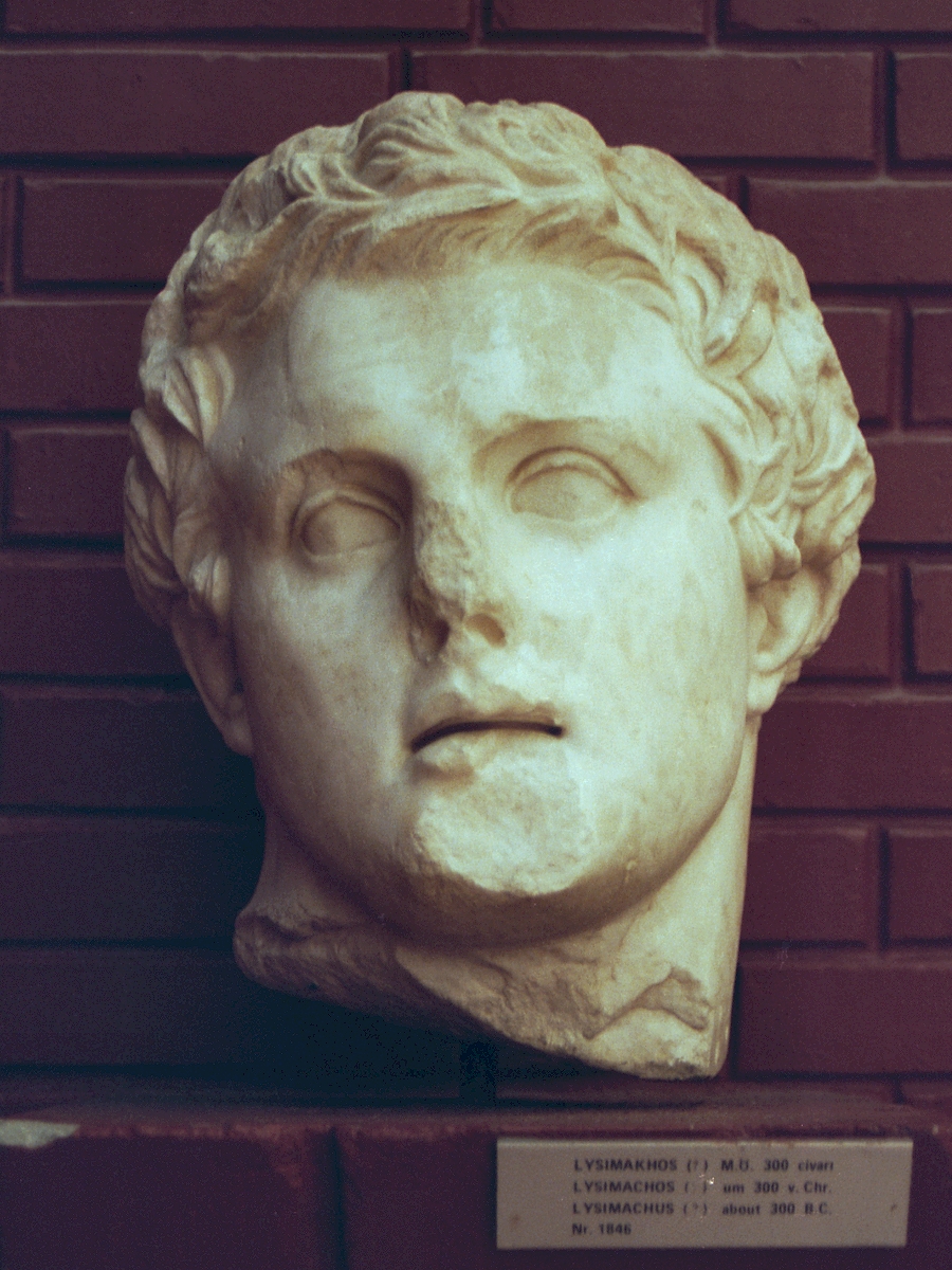 Head of Lysimachos from Ephesus