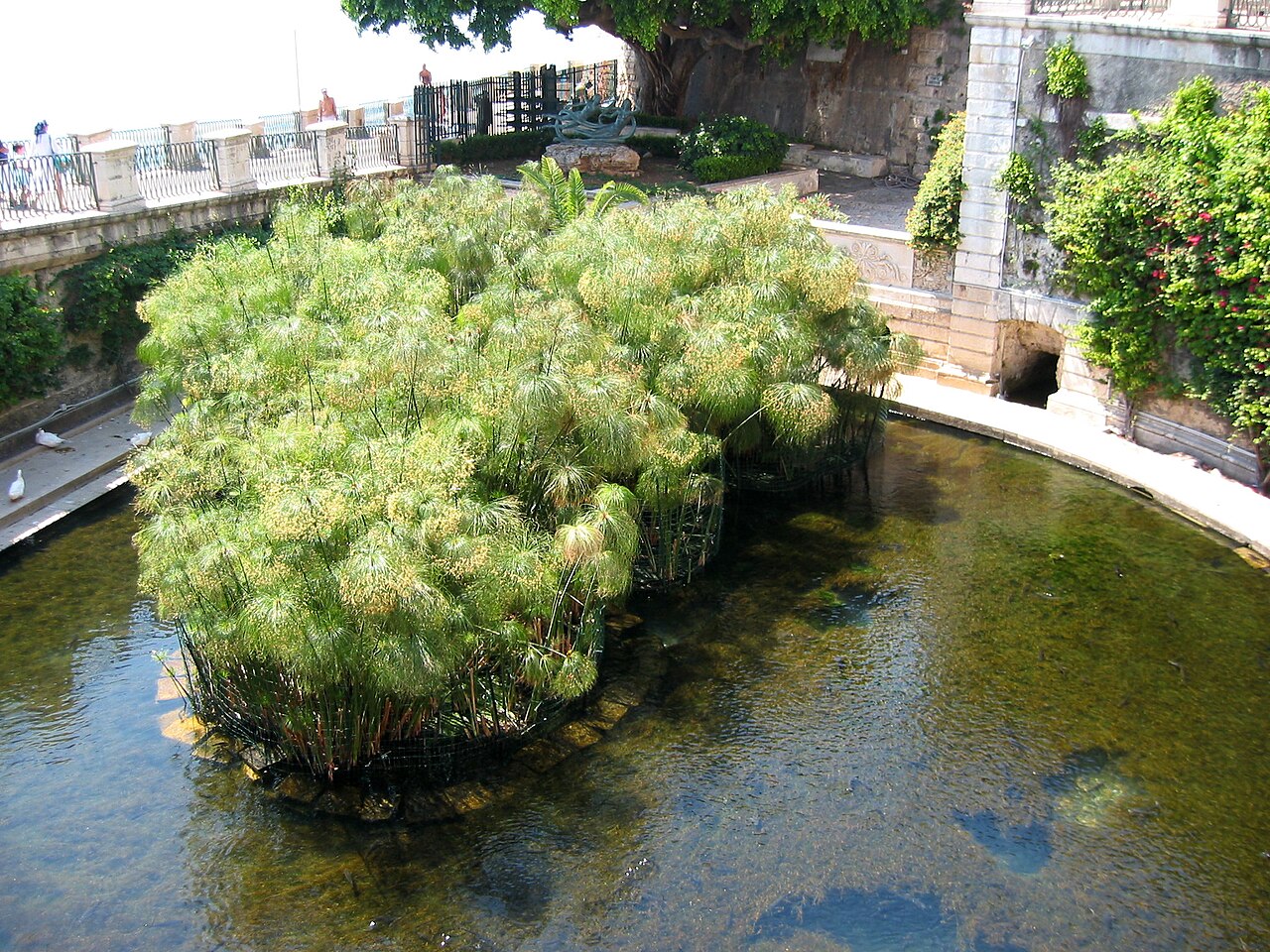 The spring of Arethusa on Ortygia