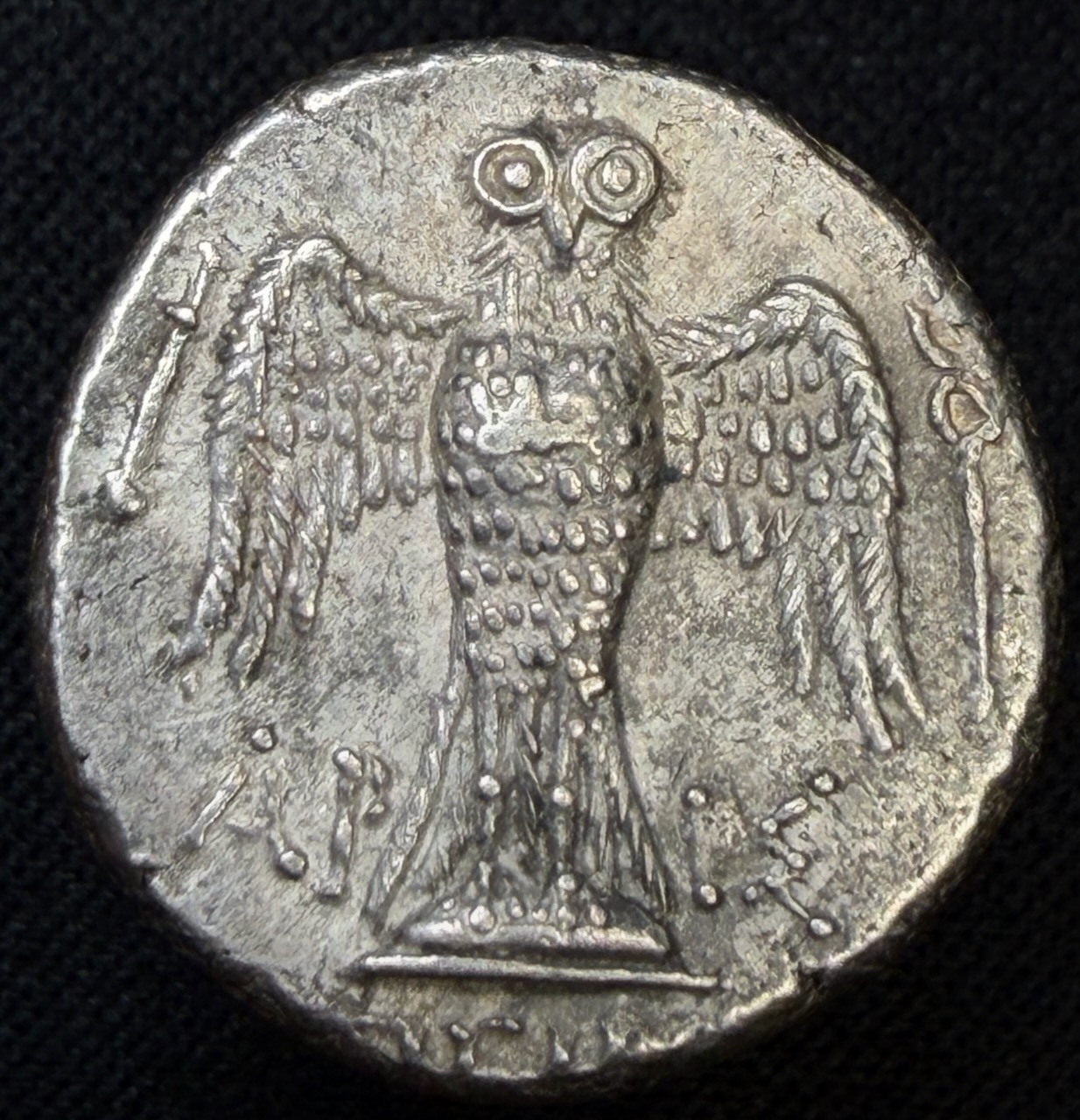 Reverse