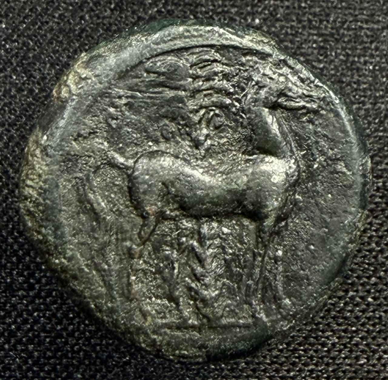 Reverse
