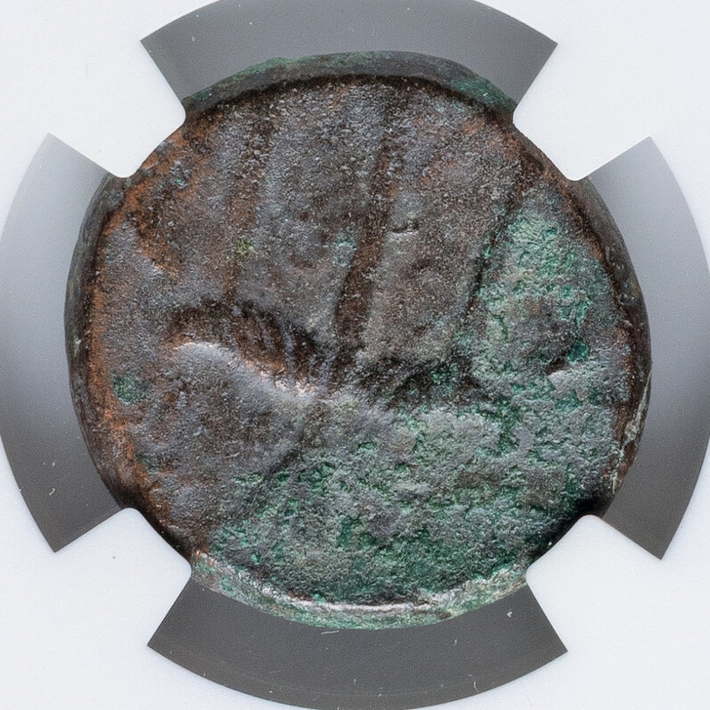 Reverse